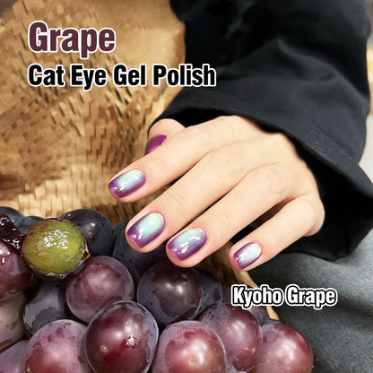 ADHERE Trend Vane Series Cat Eye Gel Nail Polish Set – 5 Colors Inspired by Dragon Fruit, Kyoho Grape, Sunset Sky – Magnetic Gel Polish for Salon & DIY Manicure, 12ml Each